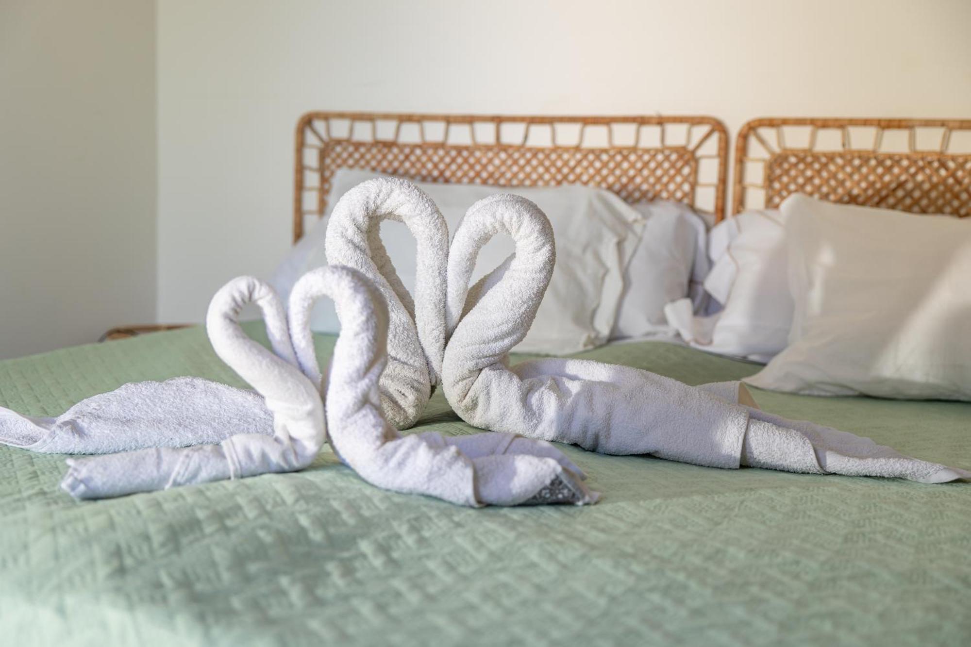 Bela Alexandra Guest House فوزيتا المظهر الخارجي الصورة