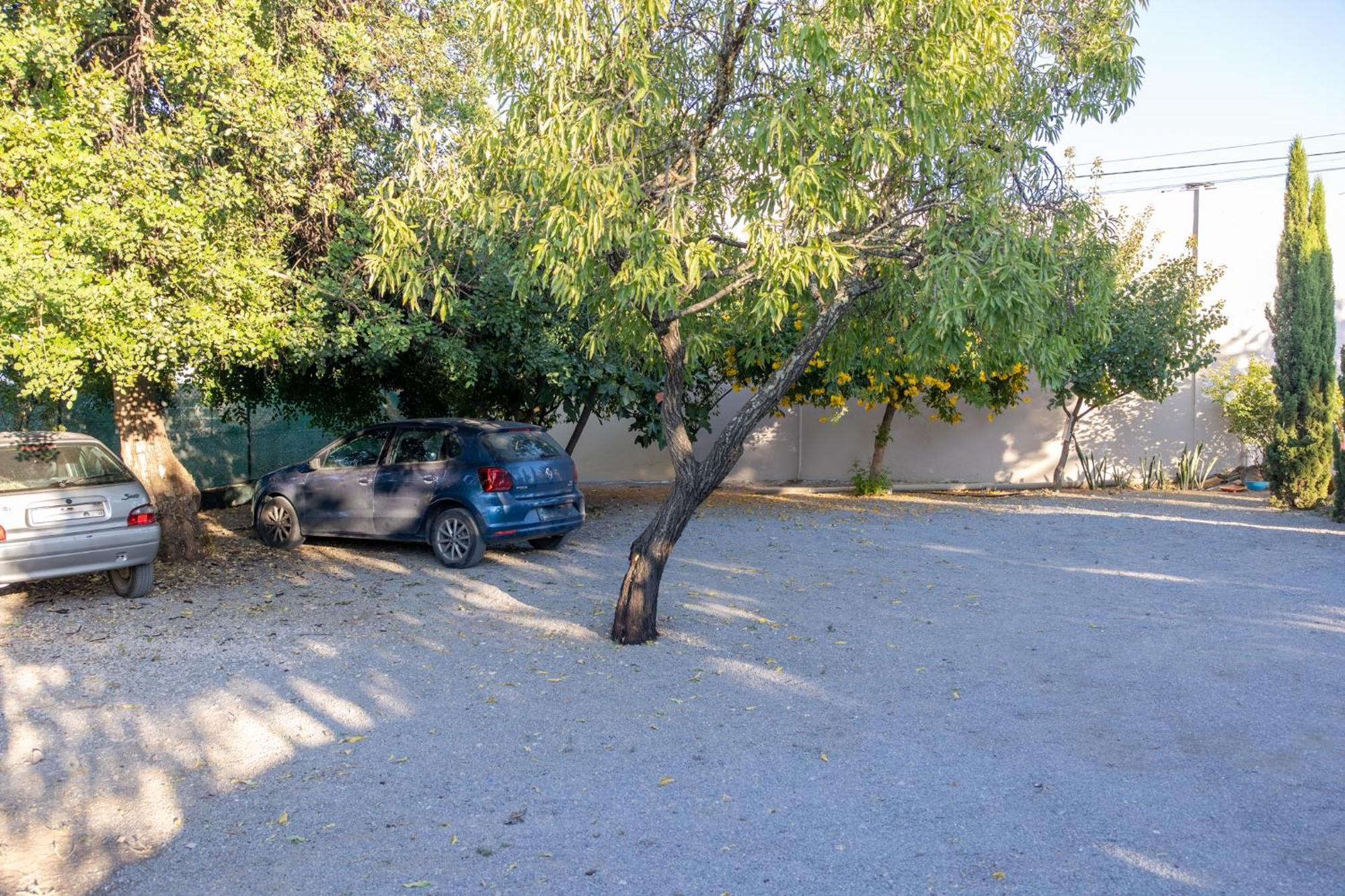 Bela Alexandra Guest House فوزيتا المظهر الخارجي الصورة